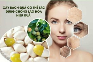 Hé lộ 5 tác dụng của bạch quả trong làm đẹp ít người biết