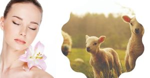 Tinh chất nhau thai cừu có tác dụng gì với da? Cách sử dụng?