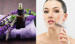 Một số tác dụng của hoa oải hương với da không nên bỏ qua